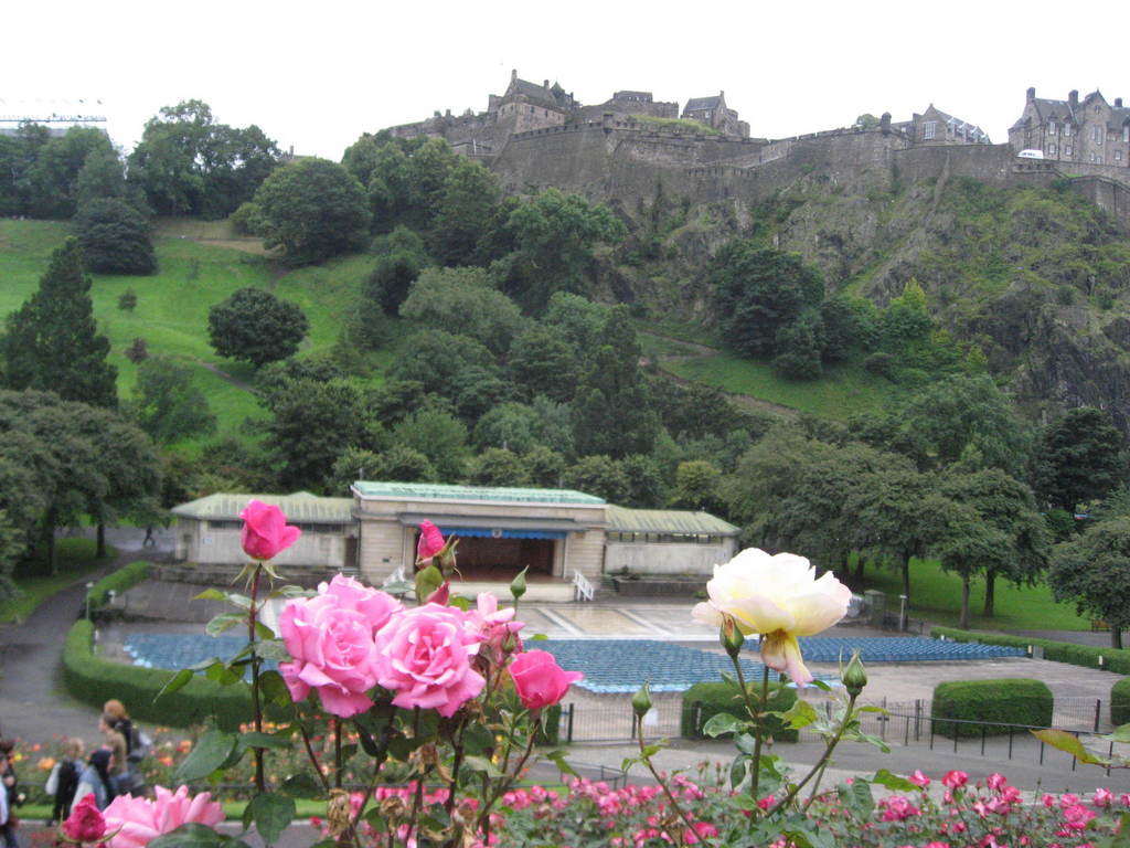 スコットランドのバラ Kotasugiさんの庭 花 ガーデン写真集 みんなのガーデニング写真集