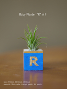 Baby_Planter_22R22__1.jpg