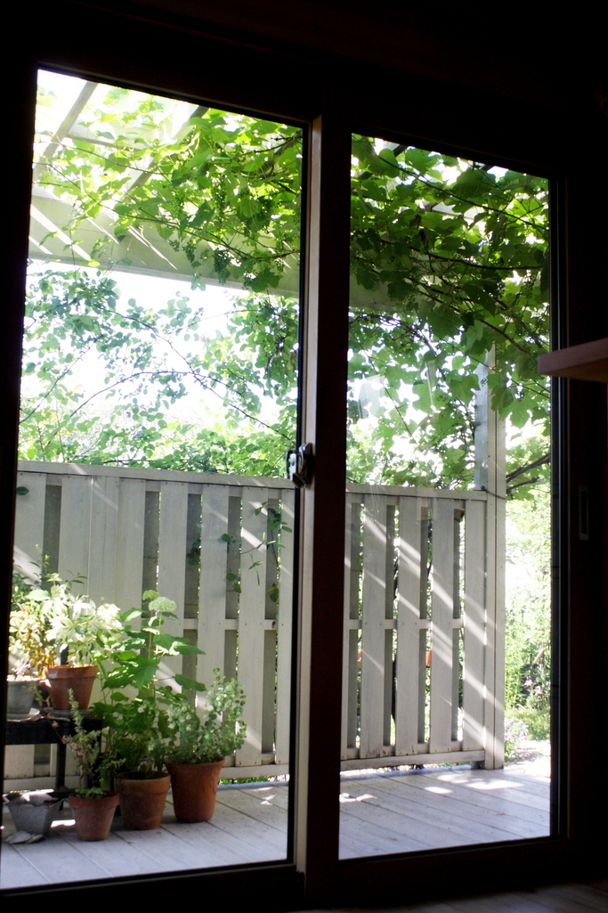 ガラス越しに見える緑 アルキミストさんの庭 花 ガーデン写真集 みんなのガーデニング写真集
