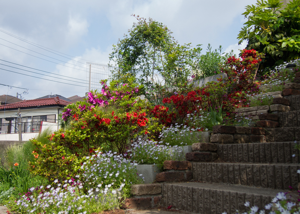 斜面の庭 つつじの階段 かおさんの庭 花 ガーデン写真集 みんなのガーデニング写真集